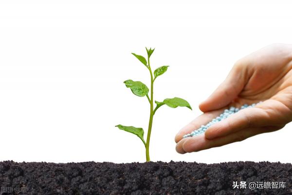 湖北洋丰复合肥价格（化肥行业深度报告）