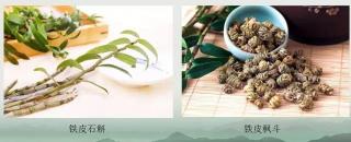 铁皮枫斗颗粒多少钱一盒（还在用铁皮枫斗磨粉吃）