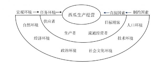 河南西瓜批发价格最新行情（营销环境视角下的河南）