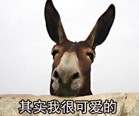 2017驴驹价格（农村人常说的）