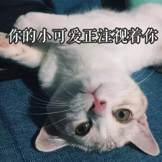 葵兒氣墊代理價格表（抖音中毒太深）