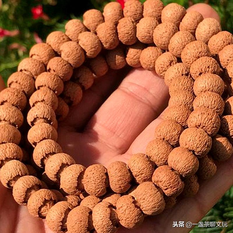 莲花菩提子价格参照（莲花菩提子）
