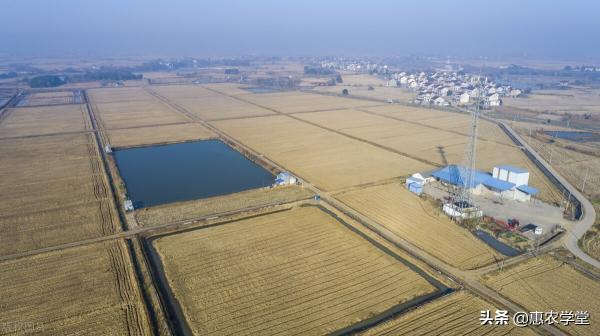 农村土地承包多少钱一亩（高标准农田建设一亩能补多少钱）