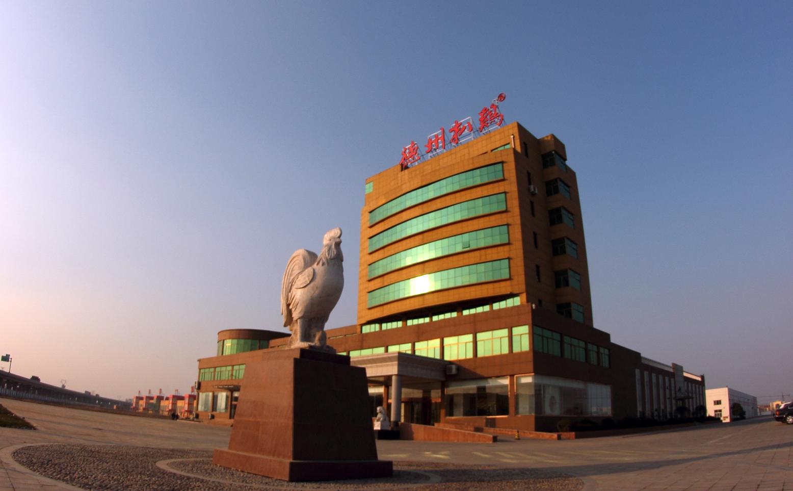 山东德州扒鸡多少钱一只（德州扒鸡冲刺上市）