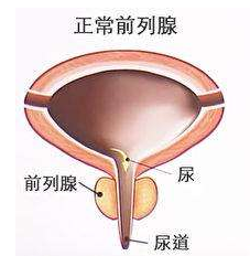 知盐坊海盐理疗热敷包价格（前列腺大保健）