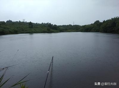 渔具大全价格和图片1（3款性价比超高的巨物竿）