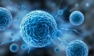 精液常規(guī)檢查多少錢（3分鐘帶你看懂精子化驗報告）