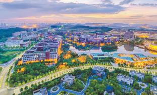 瑞克斯旺种子价格（124个国际前沿技术项目来武汉）