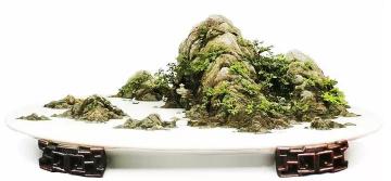上水石盆景图片价格（天气那么热）