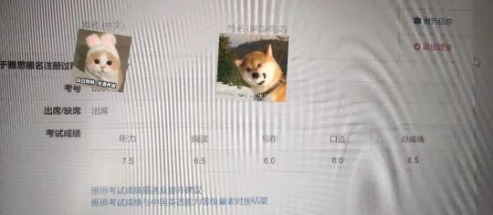 學一年雅思要多少錢（雅思自學能出分嗎）