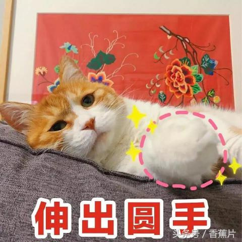 无印良品棉花糖价格（MUJI无印良品年终折扣）