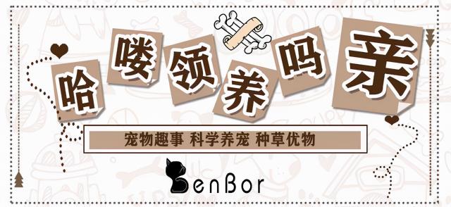 淘淘猫童装加盟店加盟费多少钱（因为一个虐猫视频）