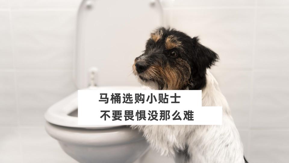 马桶一般多少钱一个（马桶选购没那么难）