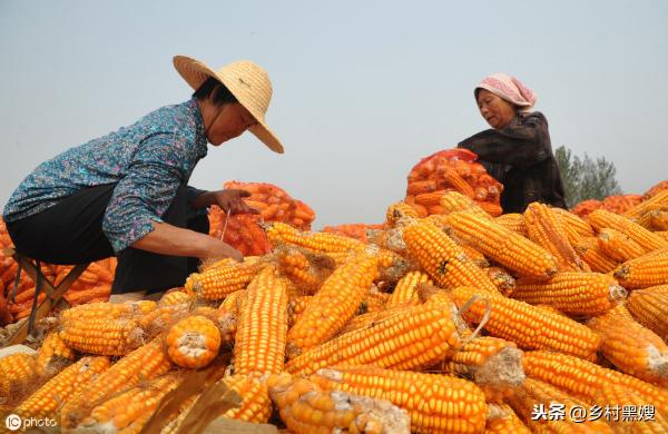 八十吨地磅多少钱一台（又到农民卖玉米季节）