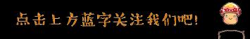 金虎斑猫多少钱一只（铲屎的一眼就在网上看中这只虎斑猫）