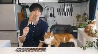 日本旬牌各刀系价格表（这把已经锈掉渣的日本刀）