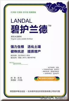 笠笠福的價格（碧護家族新成員）