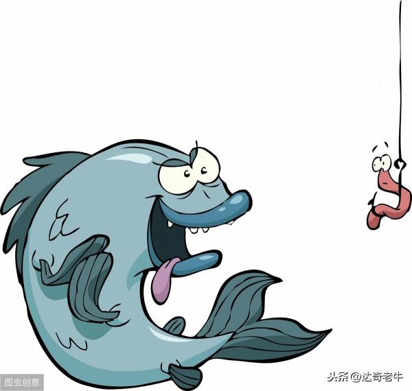 钓鱼红虫多少钱一斤（红虫的尴尬）