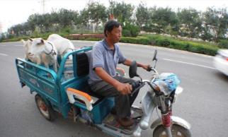 800貨運三輪摩托車價格（一輛8000元左右的電動三輪車）