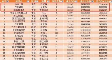 上海汤臣一品多少钱（22）