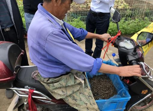 2017年蚯蚓价格上涨（蚯蚓干价格暴涨）