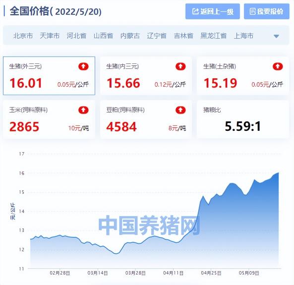 最新生猪价格走势分析评价（全国生猪价格涨跌表）
