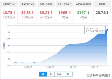 沂南最新土杂猪价格（10月25日猪价）