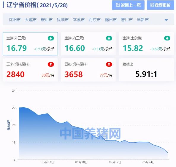辽宁毛猪价格今日猪价（辽宁省生猪价格涨跌表）