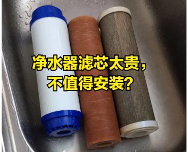 净水器的滤芯多少钱一个（净水器滤芯太贵）
