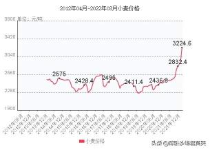今年国家收购粮食价格（粮食收购价格出炉）