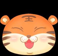 大保健项目和价格表（公示）