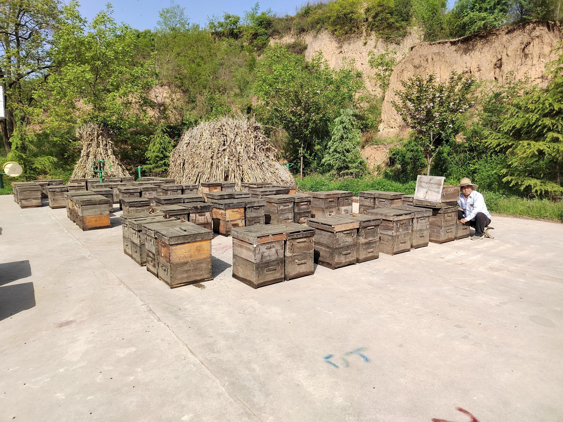 一斤蜂蜜多少錢一斤（養(yǎng)蜂人的奔波江湖路）