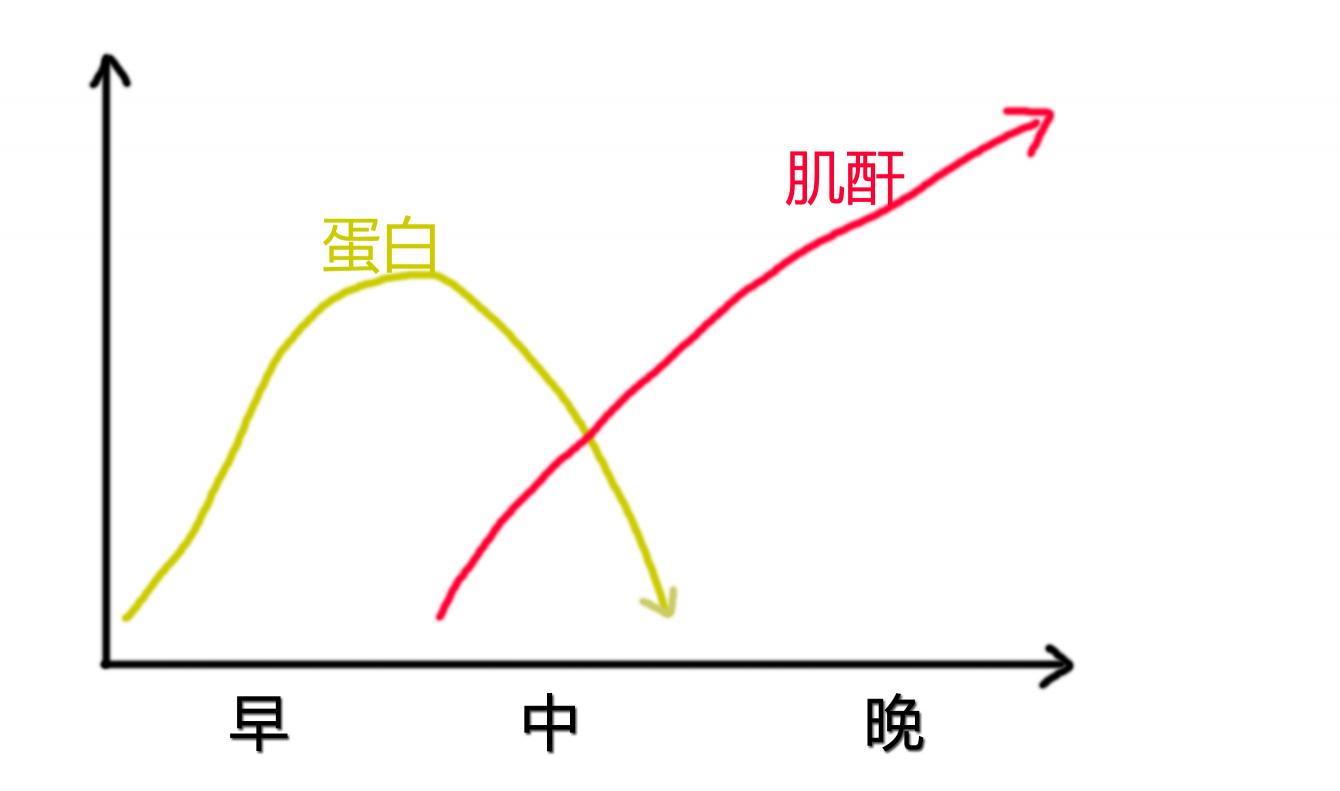 肾衰宁胶囊多少钱一盒（血肌酐和尿蛋白都高）