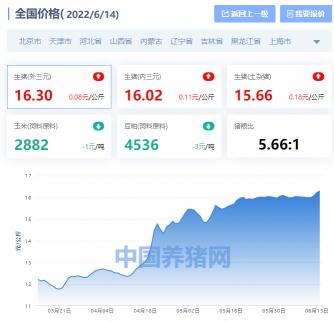 今天大猪价格多少元（2022年6月14日）