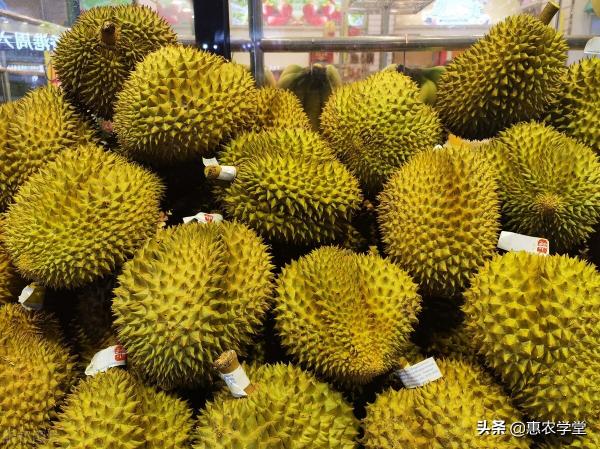 一盒多少钱（现在榴莲价格多少钱一斤）