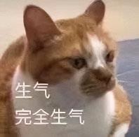 野性時代品牌內衣價格表（10年只漲價2元）