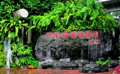 万宁到兴隆打车多少钱（万宁有什么地方好玩）