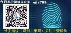 肉鹅屠宰厂收购价格（2019）