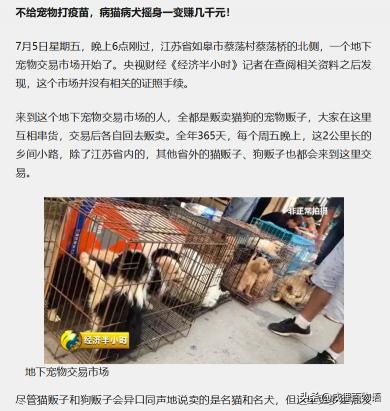 边牧幼崽多少钱一只（揭秘地下宠物繁殖场黑市）