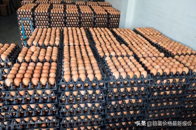 锦州鸡蛋价格今日价（2022年6月2日鸡蛋价格行情走势）
