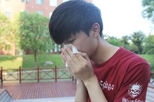 板蓝根颗粒多少钱一盒（板蓝根到底是不是感冒药）