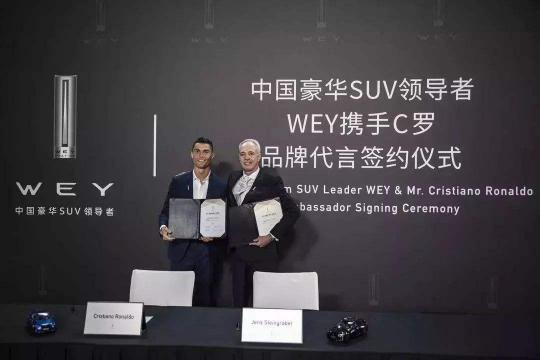 wey汽车vv7多少钱（长城魏派VV7为何一夜崩盘）