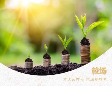 恒大兴安玉米油价格（营收千亿的粮油次新股）
