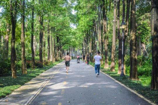 深圳儿童乐园门票价格（深圳溜娃必去的50个主题公园）
