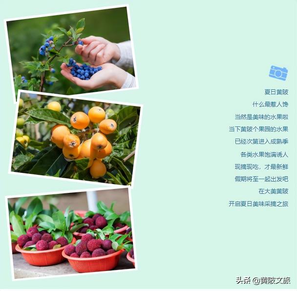 武漢市黃陂雞蛋價(jià)格（夏日上新）