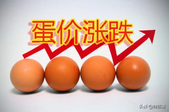 深圳鸡蛋批发价格（今日鸡蛋价格稳中有降）