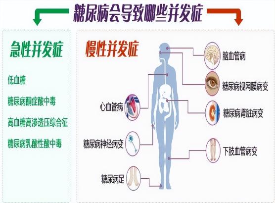 水蛭素膠囊一瓶多少錢（改善糖尿病微血管病變）
