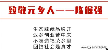野山姜收購(gòu)多少錢一斤（接過(guò)父輩）