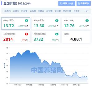 6現(xiàn)在生豬價格（全國生豬價格漲跌表）