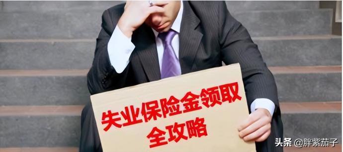 失業保險一年交多少錢（失業險是啥）